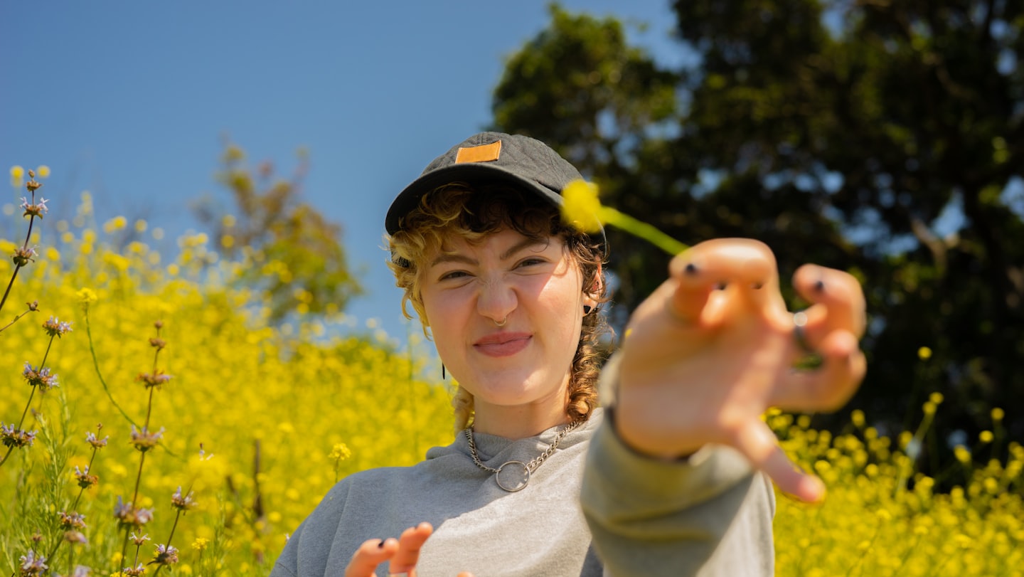 A child observing a flower, in a yellow field 
Sunny day with blue sky